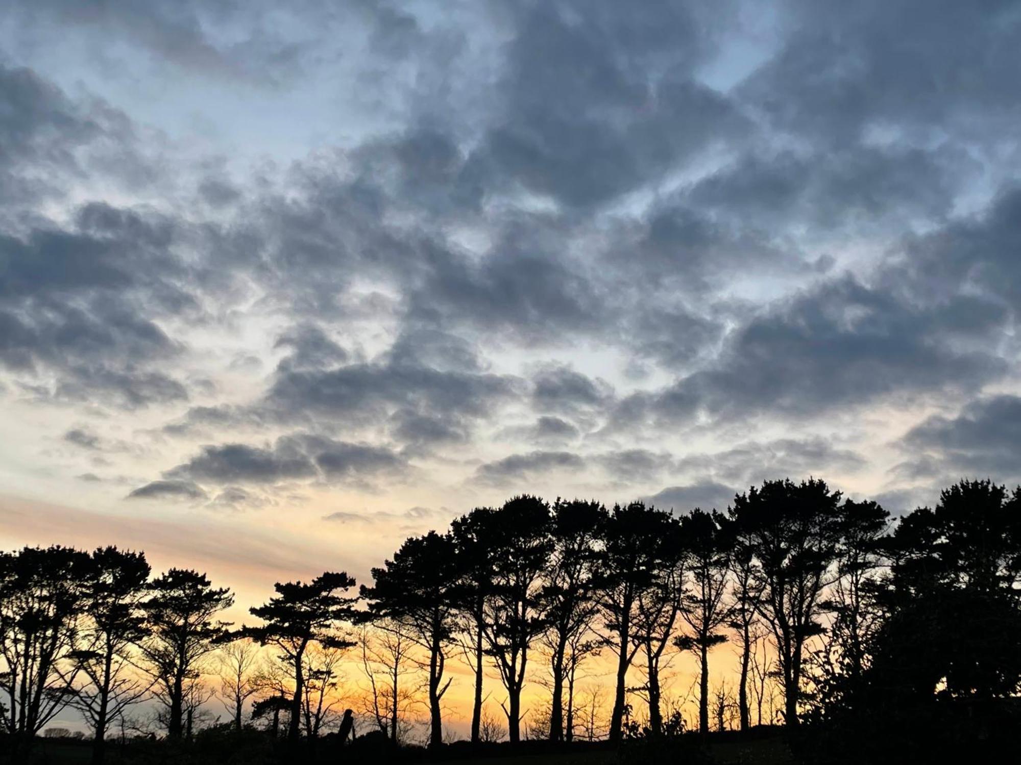 Fowey River Views Exterior foto